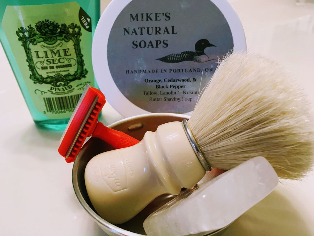 [Image: 211104-Sot-D-Triceratops-3-D.jpg]