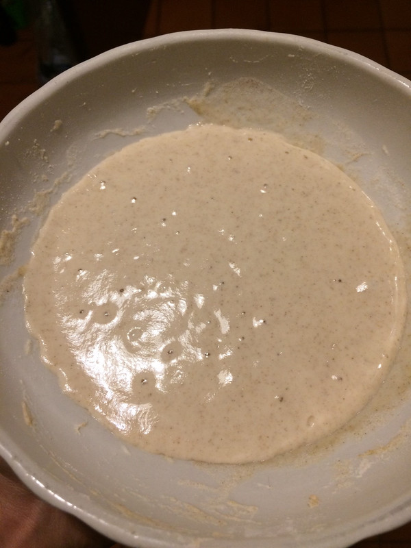 IMG_9230 - Poolish tipo 1 (10hr)