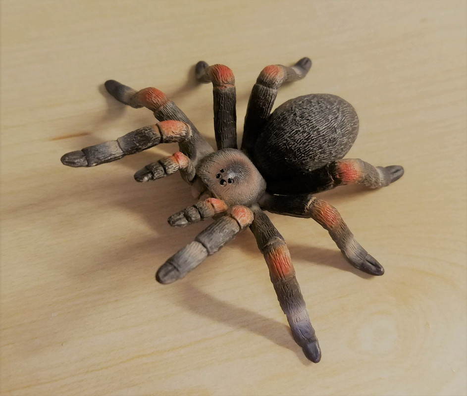 mojo - Tarantula (Mojo Fun) 20190424-174623