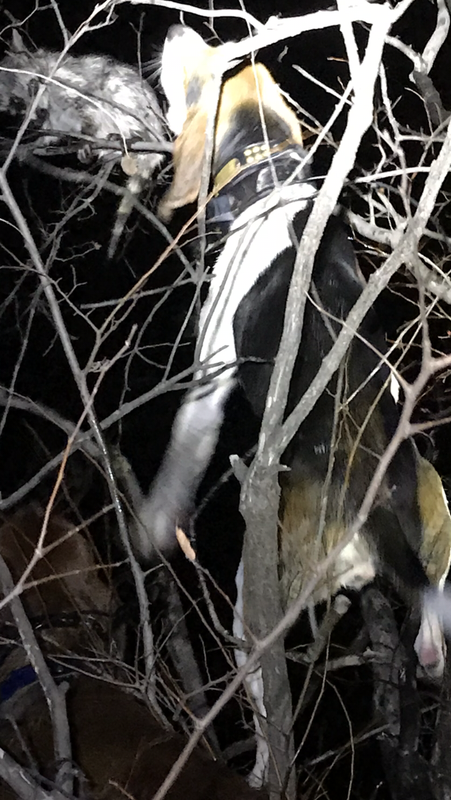 929D0630-AA6C-4647-8B89-356C63904230