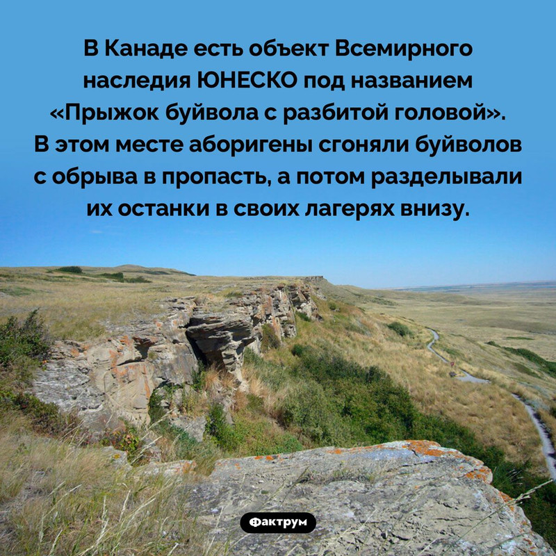 [Изображение: 31c8ddc0a1046e60f582d179f71d6484.jpg]