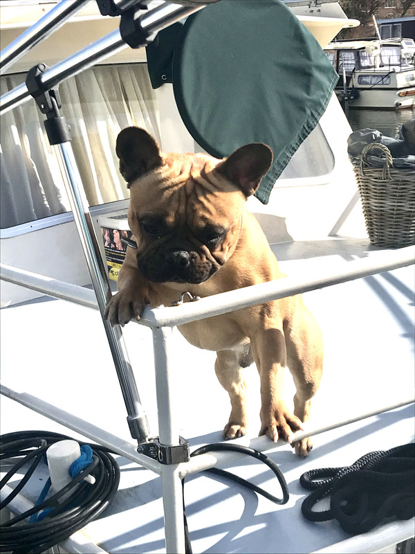 4E812E33-1B55-4BB2-98A7-7C0EBF0D01A7