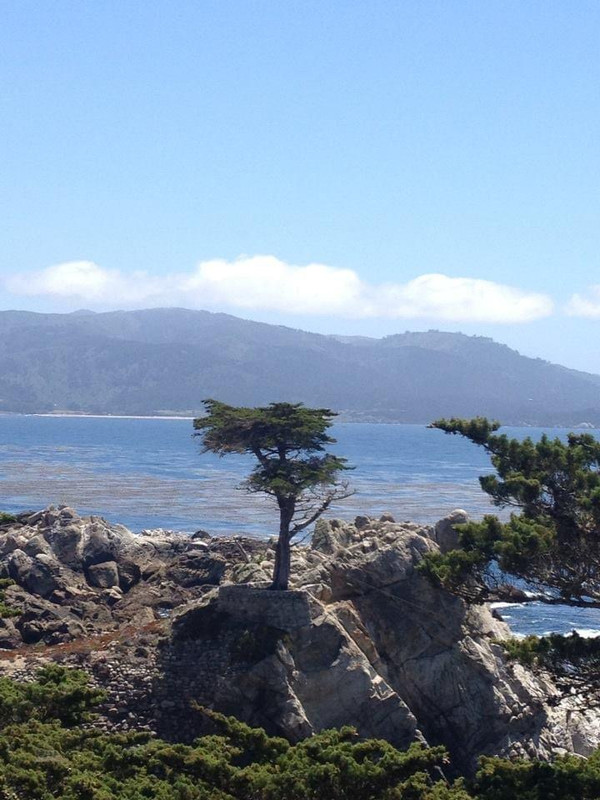 CE6076E6-D8DB-4605-8893-57EB74EF66E8