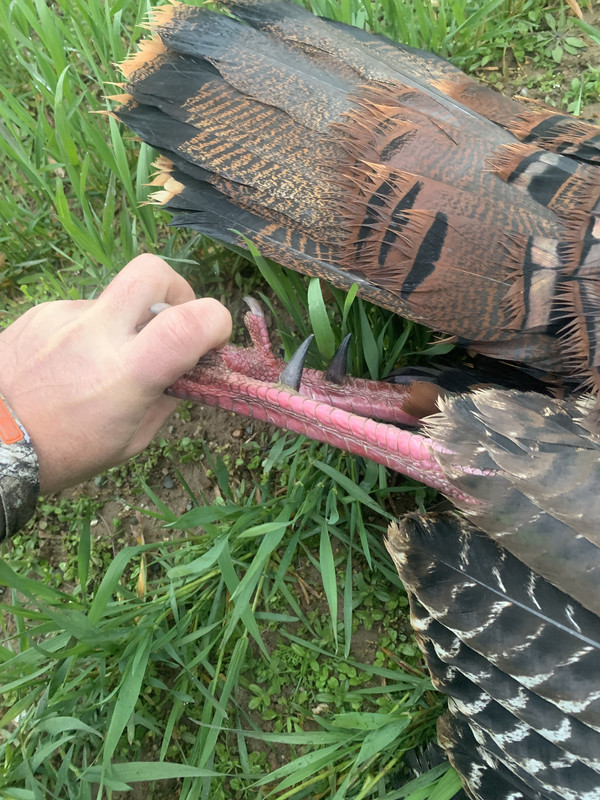 A311433E-CC62-485F-BA92-6A99519B8C88