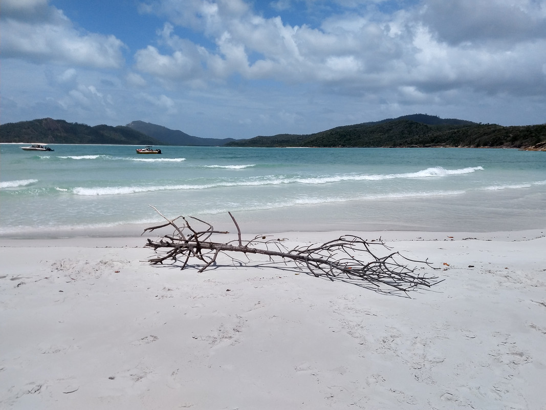 EXCURSION A WHITSUNDAYS - AUSTRALIA , "QUE GRAN PAIS" (6)