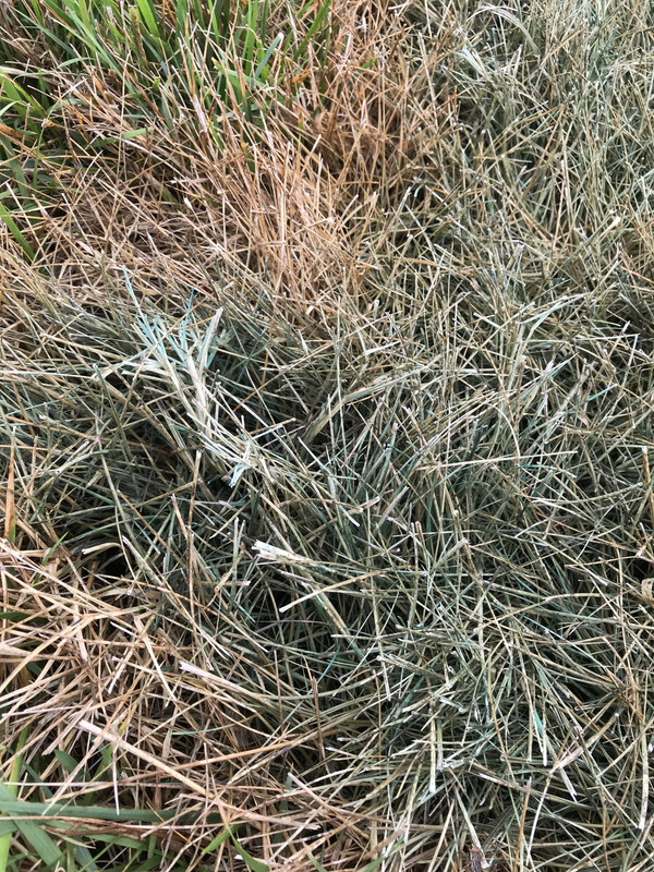 2FA9D9E6-699E-470B-BDF8-6A78ED98B046