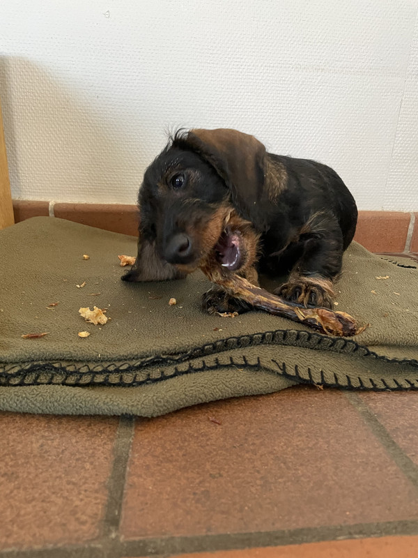 CF447507-D3E7-41FE-B42E-3474802FD4CA