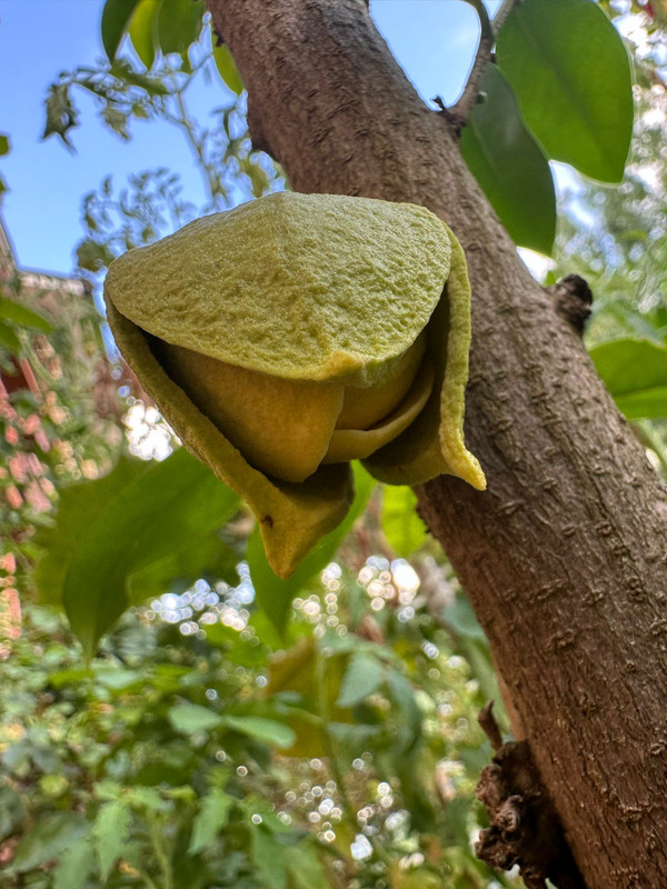 Obrázek WhatsApp, 2024-08-17 v 21.33.17_4fefa690