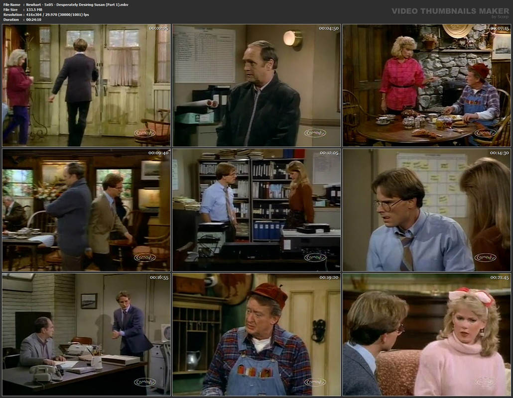 Newhart - 5x05 - Desperately Desiring Susan (Part 1).mkv