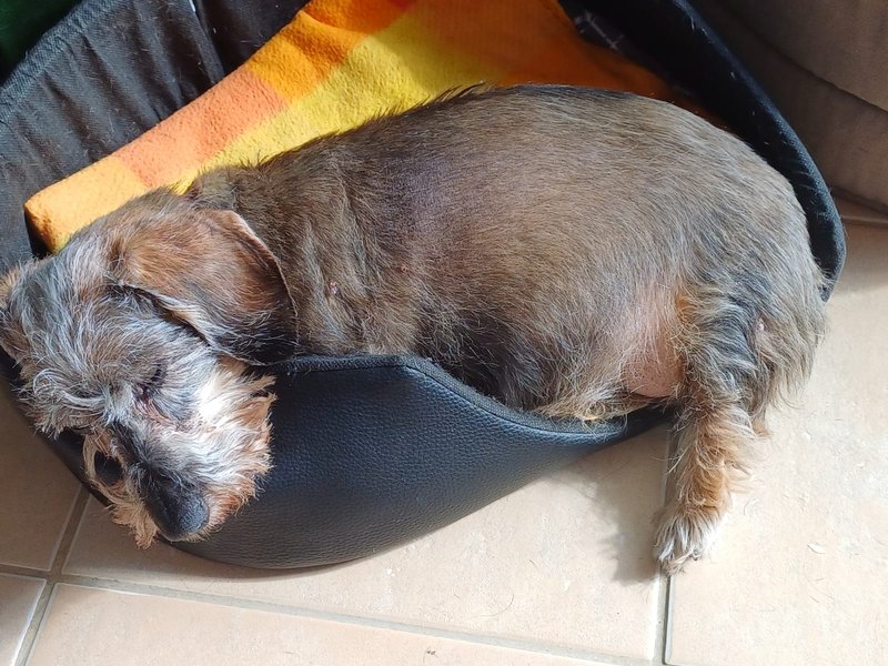 [Image: IMG-20240421-WA0000.jpg]