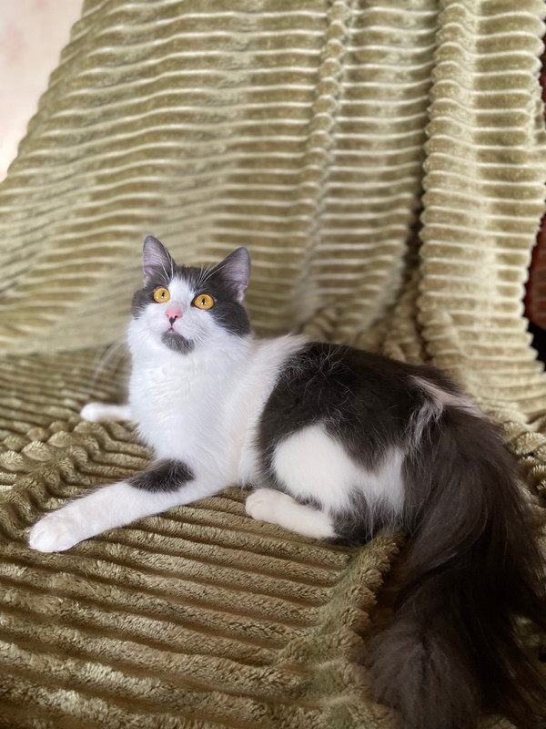 image-11-06-23-09-32-4