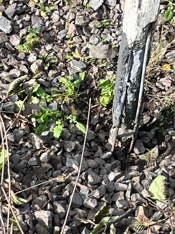 8D7DAF69-2BEE-487E-BAAE-94528137EA0D