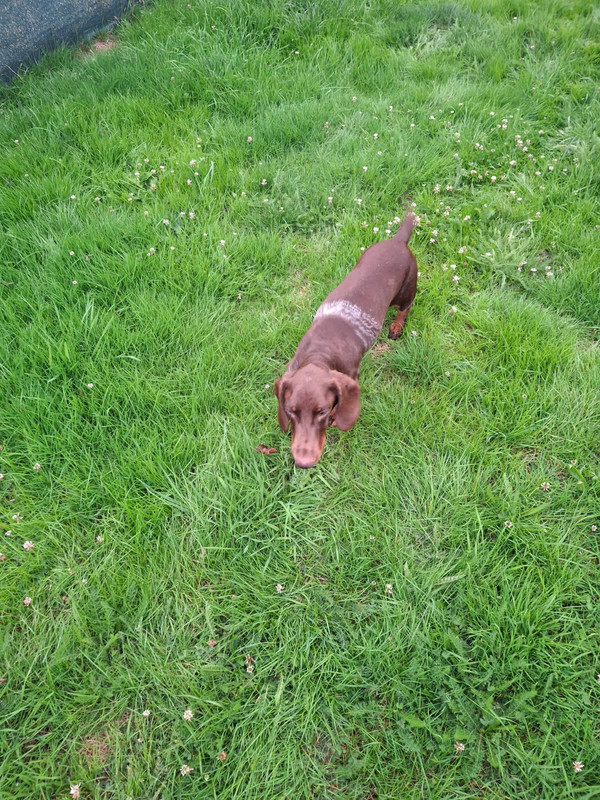 [Image: IMG-20250923-192945.jpg]