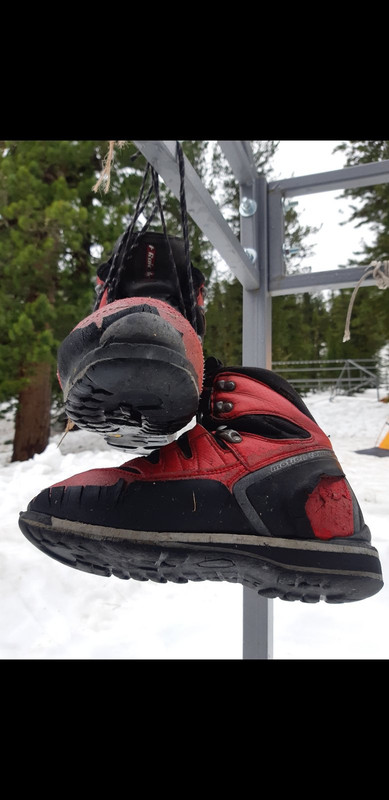 Screenshot_20230714-063008_Gallery