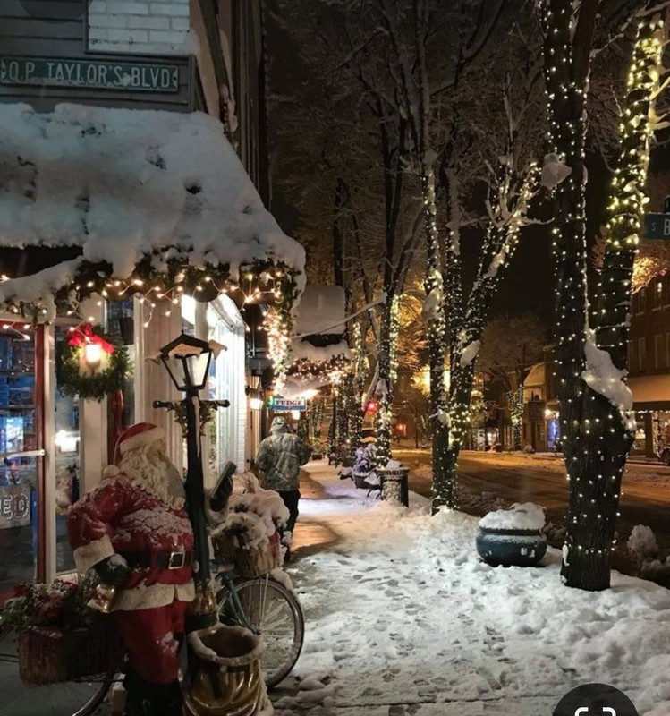 Screenshot_20231111_151950_Pinterest