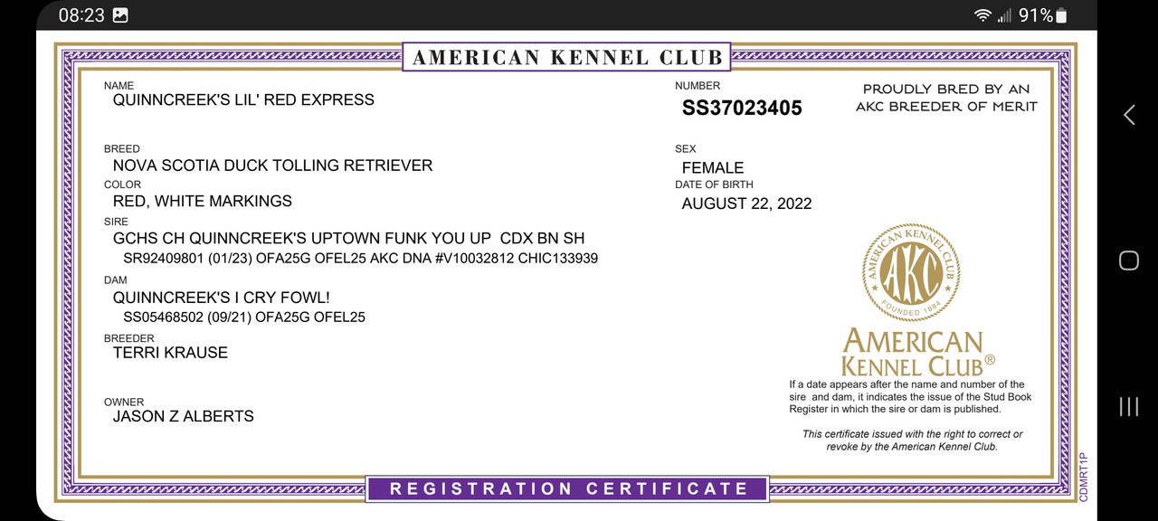 Screenshot_20230227_082306_Word