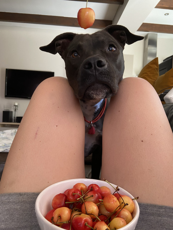 2352F511-1C1F-4415-8A54-804C603457F9