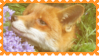 made by @transmascgarfield on tumblr
