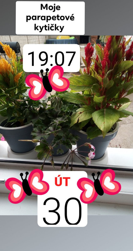 USER_SCOPED_TEMP_DATA_orca-image-1246403276