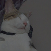 2017-05-15 07.54.13 1515318415962942355_338237262