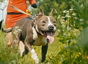 Screenshot_20230624_175145_Gallery