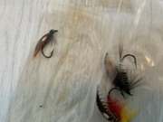 8CD1C508-D906-4F89-9CE8-0D8BB9D24282