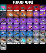 gliders-comp