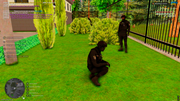 rp-(10)