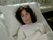 Remington-Steele-5
