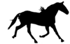 31626032.gif
