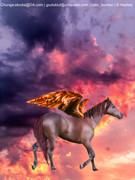 E9A23815-D1F7-4D60-B9B0-6BFD3FDEE5D3