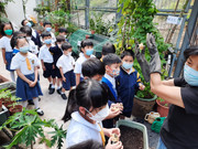 photo-littlefarmer2223-1A-005