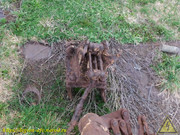DSCN6780