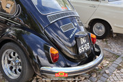 IMG-6609