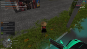 1image