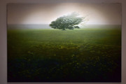 Minima-Gallery-(14)