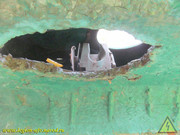 IMG-4981