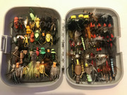 71B78C4E-3A29-4764-8C01-BE149ADFDE24