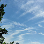 IMG_20220622_164728_1