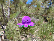 IMG-20250815-145409029