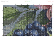 2890455-crosti-ru-color-13