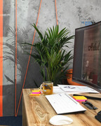 Створити політичний брендинг Тернопіль