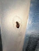 received_1447209952971307