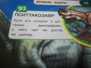 https://i.postimg.cc/WqvM577t/100-8078.jpg