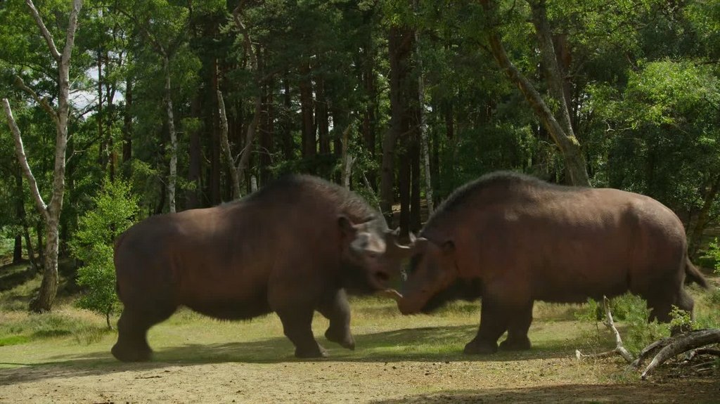 [Image: 43g6lim4ghai.jpg]