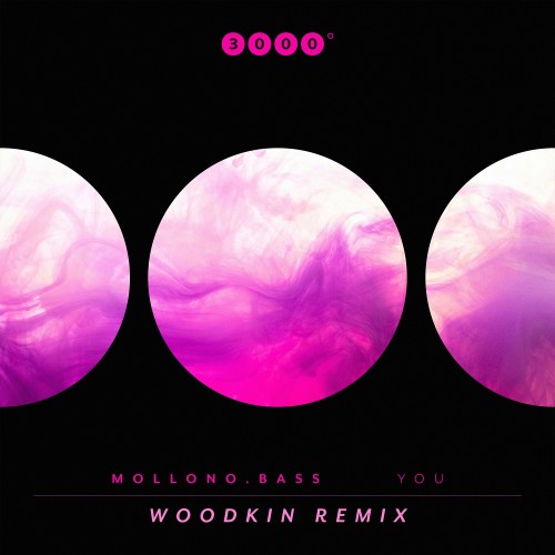00-mollono-bass-you-woodkin-remix-3000gr