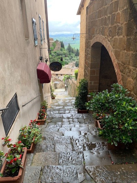 [Linked Image from i.postimg.cc]