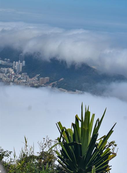 В джазе только девушки или аргентинско-бразильский калейдоскоп