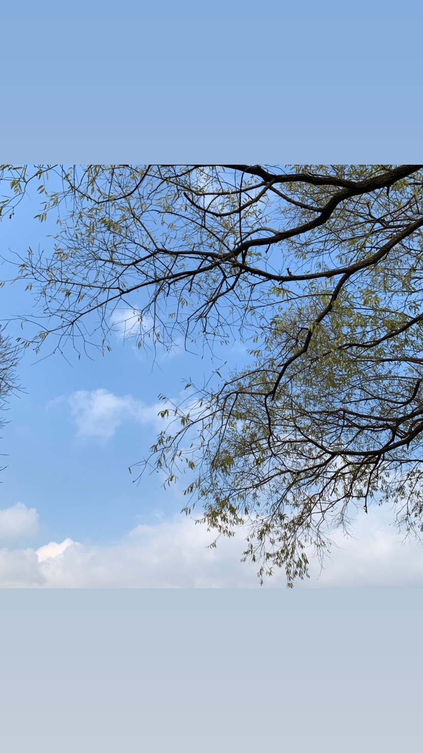 124670685-126043065716087-45666275432636