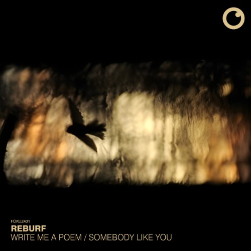 Reburf - Write Me A Poem x Somebody Like You (2026)